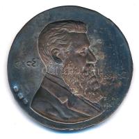 Izrael? DN "Herzl Tivadar" jelzett Ag lemezplakett (2,07g/800/42mm) T:2 patina, hajlott
I...