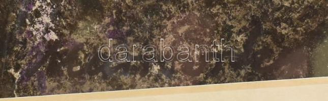 Marsovszky Endre (1916-1989): Schwarzwald II. Vegyes technika, papír, jelezve jobbra lent, paszpartu...