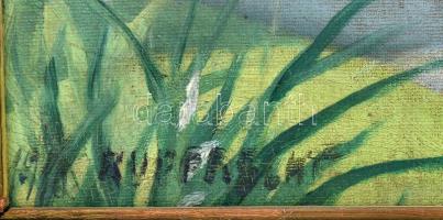 Rupprecht (?) jelzéssel, XX. sz. első fele: Virágzó kert. Olaj, vászon. Javított. Dekoratív, kissé s...