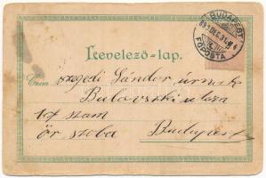 1899 (Vorläufer) Boldog újévet! Szamár üdvözlet / New Year greeting with donkeys (gyűrődések / creas...