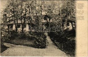 1907 Oláhszentgyörgy, Sangeorgiul Roman, Sangeorz-Bai; Villa Halita (EK)