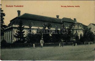 1909 Pankota, Pancota; Dietrich-Sulkowski kastély (Herceg Sulkovsky kastély). W. L. Bp. 5417. / castle (EB)