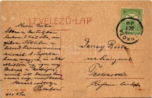 1909 Pankota, Pancota; Dietrich-Sulkowski kastély (Herceg Sulkovsky kastély). W. L. Bp. 5417. / cast...