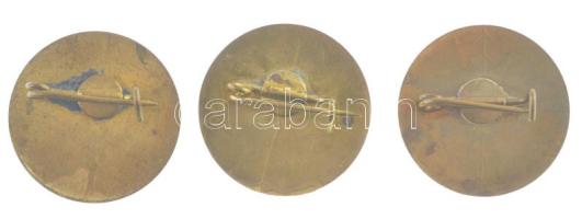 ~1980. "Balaton- Felvidék" festett bronz úttörő túrajelvény (25mm) + "Börzsöny" ...