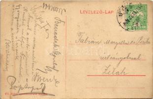 1910 Zsibó, Jibou; Báró Wesselényi kastély. Zsibói nyomdavállalat kiadása 454. (W. L. ?) / castle (f...