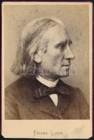 Liszt Ferenc (1811-1886) zeneszerző, keményhátú fotó E. H. Schroeder berlini műterméből, 16,5×10,5 cm