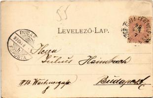 1899 (Vorläufer) Szászváros, Broos, Orastie; utca, F. Eisenmenger üzlete / street view, shop (EK)