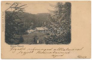 1902 Biharfüred, Stina de Vale; Sonnenfeld Adolf kiadása