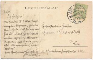 1906 Nagyvárad, Oradea; Zöldfa utca, Helfy József, Kertész Sándor, Helyfi László, Ács L. Társa, Ster...