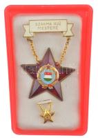 ~1970 Szakma Ifjú Mestere műanyag - bronz kompozit kitüntetés műgyantás színezéssel, miniatűrrel, tokban (41x41mm) T:1
