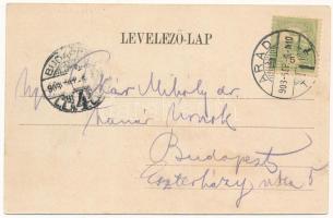 1903 Arad, Nyári színház, Nemzeti színház, Zilahy Gyula igazgató. Bloch H. kiadása / summer theatre,...
