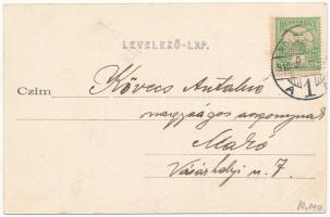 1910 Mézged, Meziad; Pestera Meziad / Meziádi (Mézgedi) cseppkőbarlang, a díszterem függönyzetéből /...