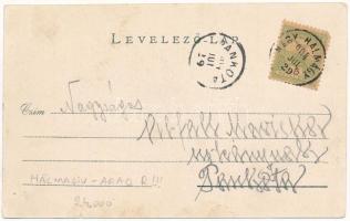 1904 Nagyhalmágy, Halmagiu; Fő utca. Deutsch Ármin fényképész felvétele / main street (EK)