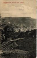 1911 Segesvár, Schässburg, Sighisoara; Aussicht vom Knopf / látkép. H. Zeidner kiadása / general view (EK)