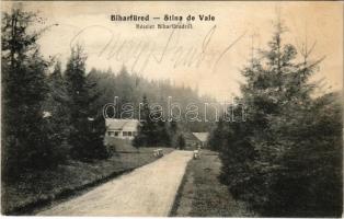 1912 Biharfüred, Stana de Vale, Stina de Vale; látkép / general view