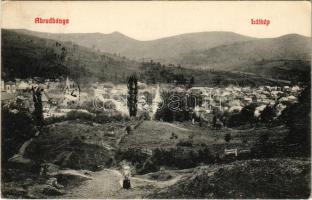 1911 Abrudbánya, Abrud; látkép. Molnár Árpád kiadása / general view (EK)
