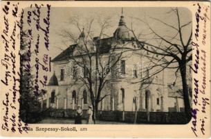 1925 Illye, Ciumeghiu; Villa Szepessy-Sokoll kastély / castle (EK)