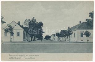 1905 Temeshidegkút, Hidegkút, Sabran-Guttenbrunn, Zabrani; Hosszú utca. Johann Nebel kiadása / street (EK)