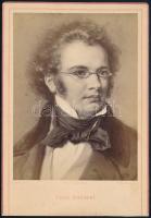 cca 1880 Franz Schubert portréja, festmény nyomán készült fénynyomat, 16,5×11,5 cm