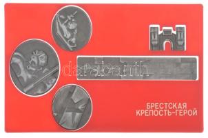 Szovjetúnió ~1960-1980. A Breszti erőd hősei 5 darabos alumínium emlékérem és emlékplakett sorozat műanyag tartótokban (210x125mm) T:1- Soviet Union ~1960-1980. Heroes of the Brest Fortress 5 pieces aluminium commemorative medallion and plaque serie in plastic case (210x125mm) C:AU