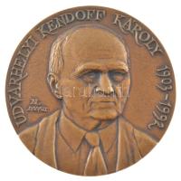 Nagy Lajos (1949-) DN Udvarhelyi Kendoff Károly 1903-1992 bronz plakett (118mm) T:1-