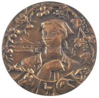 DN Falusi élet egyoldalas bronz emlékérem feloldatlan F.B.(?) szignóval (95mm) T:2