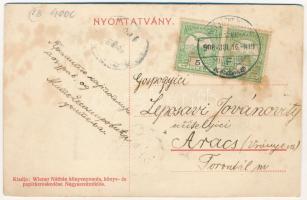 1908 Nagyszentmiklós, Sannicolau Mare; községháza. leporellolap 10 képpel: Gróf Nákó Sándor kastélya...