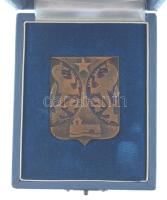 1973. Szigetvár 1973. IX. 9. kétoldalas, öntött bronz plakett a város címerével, eredeti tokban (49x38mm) + Szigetvár címerét ábrázoló műgyantás kitűző (17x13mm) T:1-