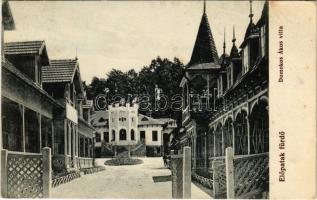 1912 Előpatak, Valcele; Domokos Ákos villa. Goldstein Manó kiadása / villa, spa (EK)