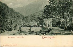 Herkulesfürdő, Herkulesbad, Baile Herculane; Cserna-völgy. R. Krizsány kiadása / Cserna-Thal / valley, wooden bridge (EK)
