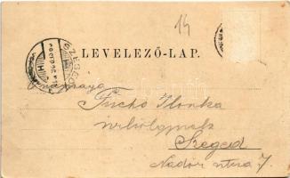 Fehértemplom, Ung. Weisskirchen, Bela Crkva; Fő utca, Korzó, üzletek, látkép. Gustav Wunder kiadása ...