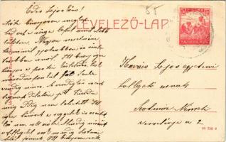 Gyertyánliget, Polyána-Gyertyánliget, Kabola Polyána, Kobyletska Poliana (Máramaros, Maramures); egy...