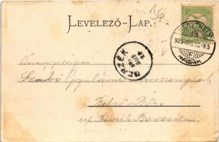 1905 Keszthely, Gróf Festetics kastély. Sujánszky József kiadása (EB)