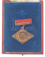 ~1975. "Hűségért / C5 (5 éves váci Dunai Cement Művek)" öntött bronz törzsgárda jelvény festett műgyantás függesztésen, a gyár emblémájával ellátott eredeti dobozban (35x52mm) T:1- patina