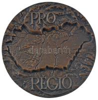 DN Pro Régió kétoldalas, öntött bronz plakett. Szign: TB (117mm) T:1-