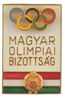 ~1970. Magyar Olimpiai Bizottság aranyozott, műgyantás bronz jelvény (31x21mm) T:1