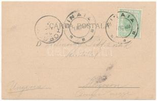 1899 (Vorläufer) Sinaia, Villa Alexandru Ghica, Villa Lelia Otetelesanu, Villa Blaremberg, Villa Bud...