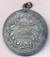 1926. " Hungária Nemzeti Neptun 1926 X 3" kétoldalas ezüstözött bronz evező díjérem (30mm)...