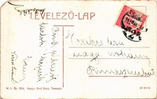 1917 Temesvár, Timisoara; Béga sor. W.L. Bp. 2034. Gerő Manó kiadása / riverside (EM)