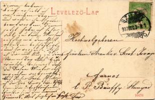 1907 Szilágysomlyó, Simleu Silvaniei; Magura, Simai kastély, nyaraló. W.L. (?) 2227. 1/2. Heimlich K...