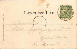 1905 Piski, Simeria; Szabadság szobor. Adler fényirda / monument + "VÖRÖSTORONY - BUDAPEST 255....