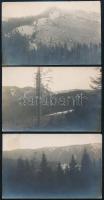 1917 Szebenjuharos (Păltinis / Hohe Rinne), Erdély, 3 db fotólap, kettő a hátoldalon feliratozva, 14x9 cm