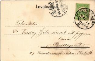 1909 Magyarcsernye, Magyar-Czernye, Nova Crnja; Római katolikus iskola és templom, Községháza, M. ki...