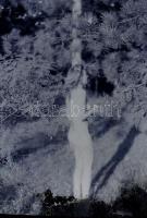 Női akt negatívok, 6 db, kis sérülésekkel, 4,5×6 cm