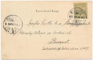 1903 Sepsiszentgyörgy, Sfantu Gheorghe; Kossuth Lajos utca. Szecessziós virágos litho keret / street...