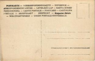 Drassó, Drasov; Teleki kastély, kert részlet / castle, park. photo