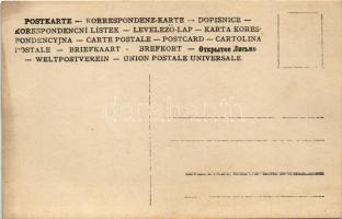 Drassó, Drasov; Teleki kastély, kert részlet / castle, park. photo