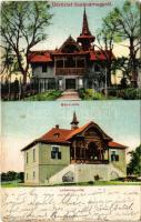 1913 Szatmárhegy, Viile Satu Mare; Mándi villa, Lehoczky villa. Hirsch Lázár kiadása. Hollósi felvétele / villas (kopott sarkak / worn corners)