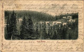 1908 Szebenjuharos, Hohe Rinne, Paltinis (Nagyszeben, Sibiu); gyógyház, nyaraló. G. A. Seraphin kiadása / spa, villa (EK)