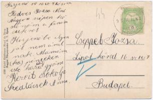 1916 Kisjenő, Kis-Jenő, Chisineu-Cris; Fehér-Körös híd és völgye. Kaufmann Manó és Társa kiadása / C...